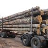 Camion de 30 stères Hêtre Chêne Charme en grume